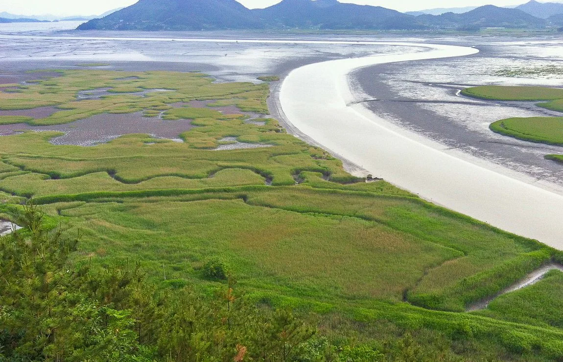 %EC%88%9C%EC%B2%9C_%281%29.jpg?type=w1200