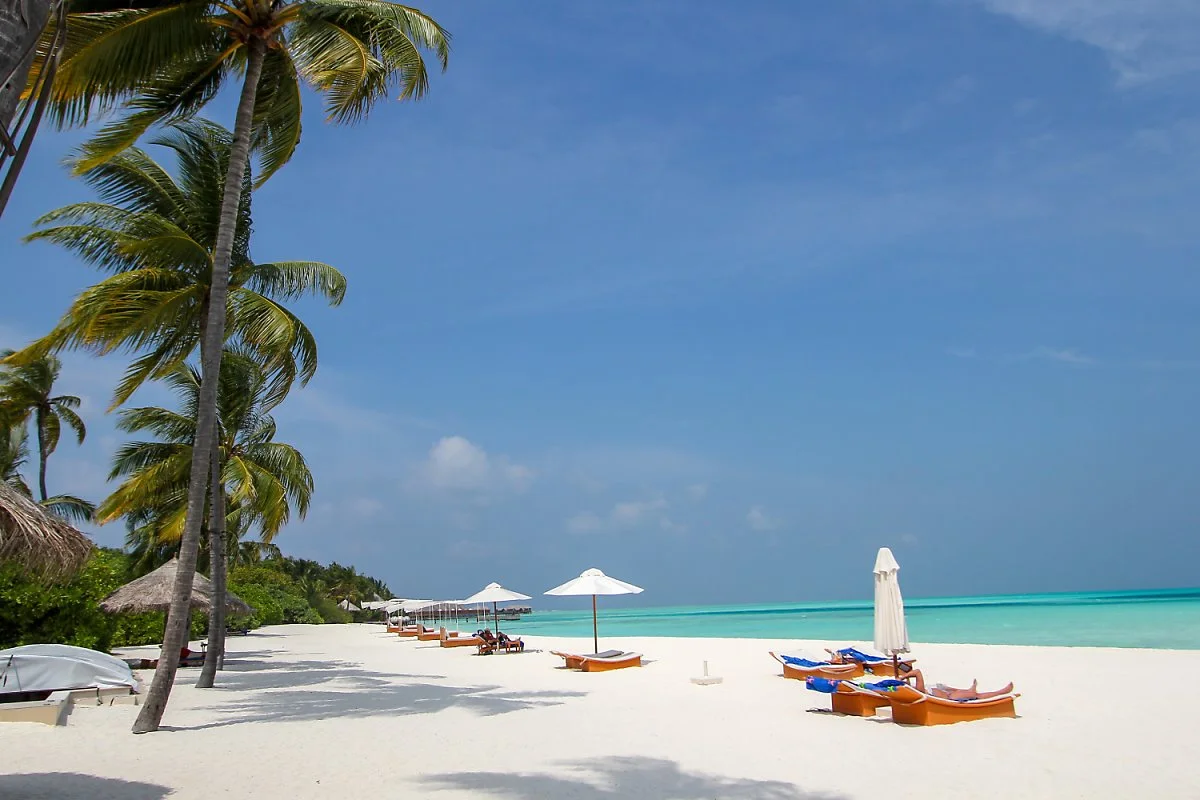 1IMG_5456.jpg?type=w1200