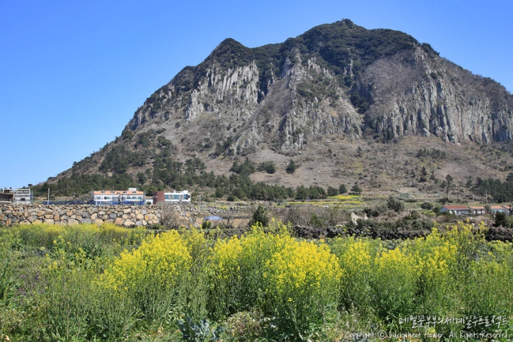 %EC%82%B0%EB%B0%A9%EC%82%B0%EC%9C%A0%EC%B1%84%EA%BD%83_03.png?type=w1200