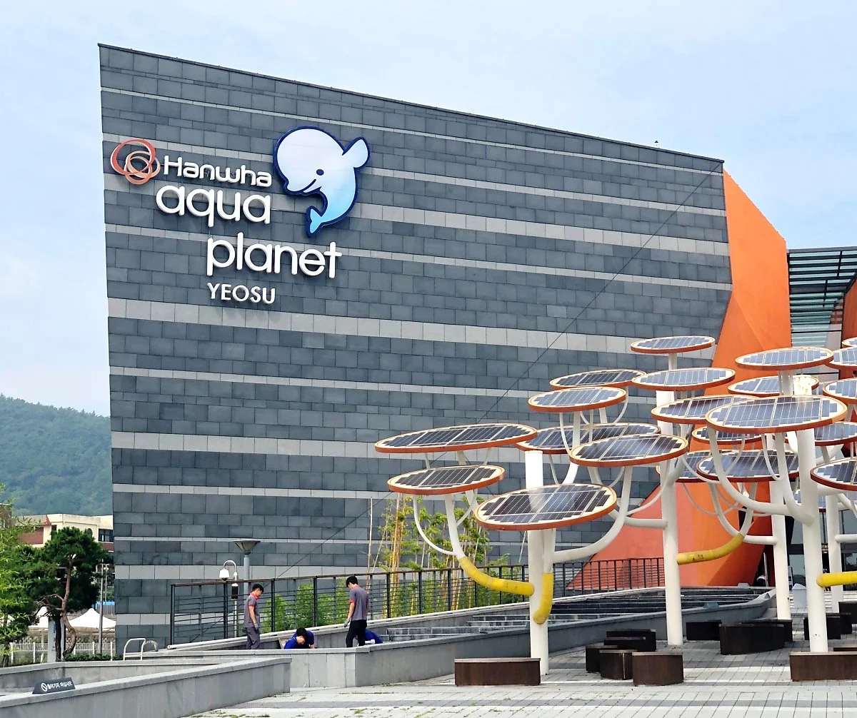 wp_837818611569396193025.jpg?type=w1200