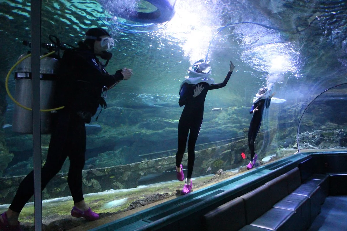 4%EC%9B%94%ED%95%B4%EC%99%B8%EC%97%AC%ED%96%89%EC%A7%80%EC%B6%94%EC%B2%9C5_%EA%B4%8C5.JPG?type=w1200