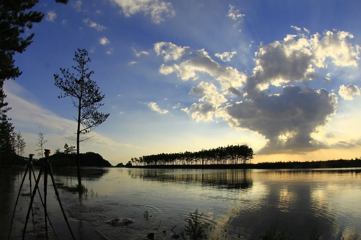 do-not-shave-2951043_1920.jpg?type=w1200