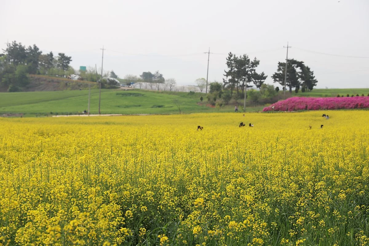 6%EC%9B%94_%EA%B5%AD%EB%82%B4%EC%97%AC%ED%96%89%EC%A7%80%EC%B6%94%EC%B2%9C4_%EA%B3%A0%EC%84%B12.JPG?type=w1200