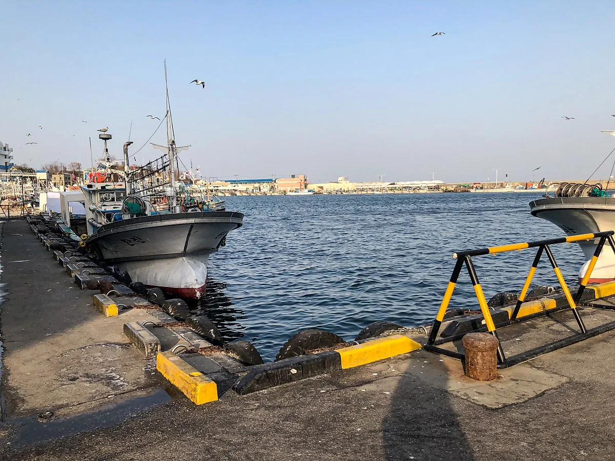 28%EC%A3%BC%EB%AC%B8%EC%A7%842.jpg?type=w1200