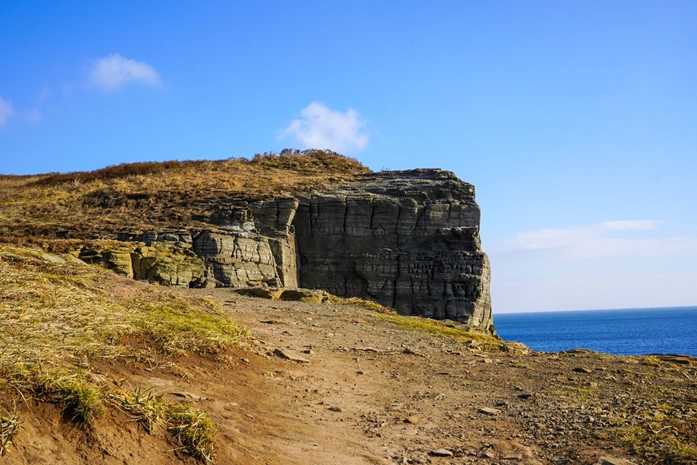 image.png?type=w1200