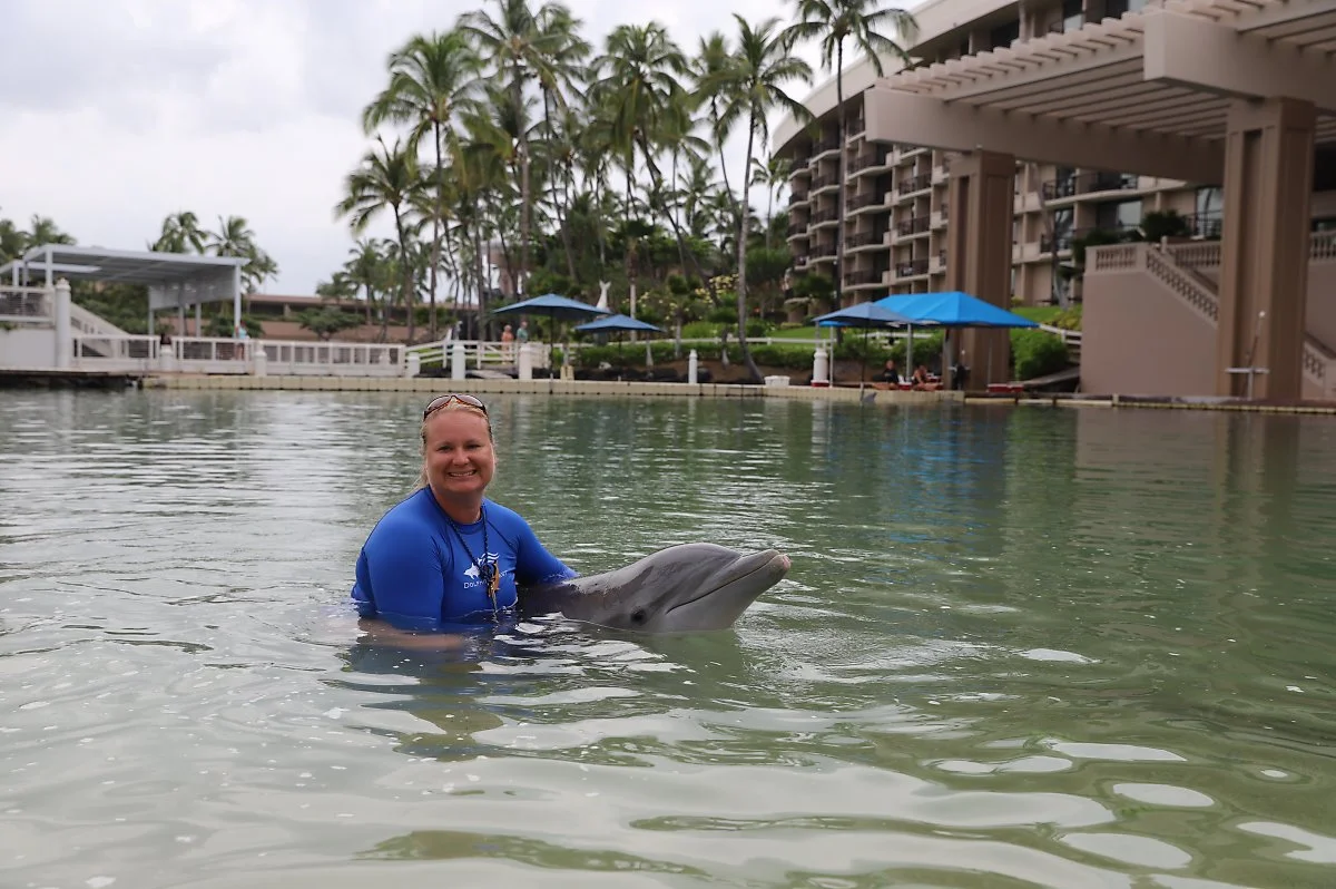 %ED%95%98%EC%99%80%EC%9D%B4%ED%95%AD%EA%B3%B5%EA%B6%8C17.JPG?type=w1200