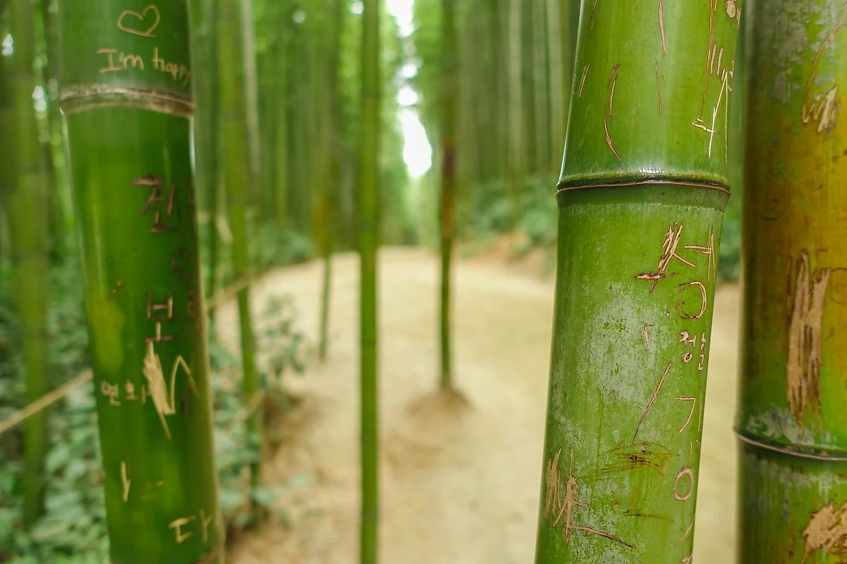 %EB%8B%B4%EC%96%91_%281%29.jpg?type=w1200