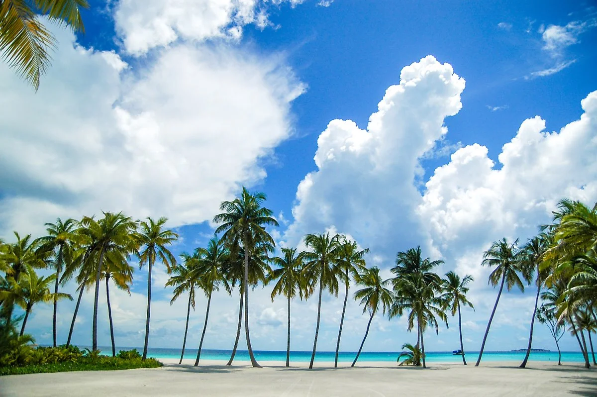 1DSC_3010.jpg?type=w1200