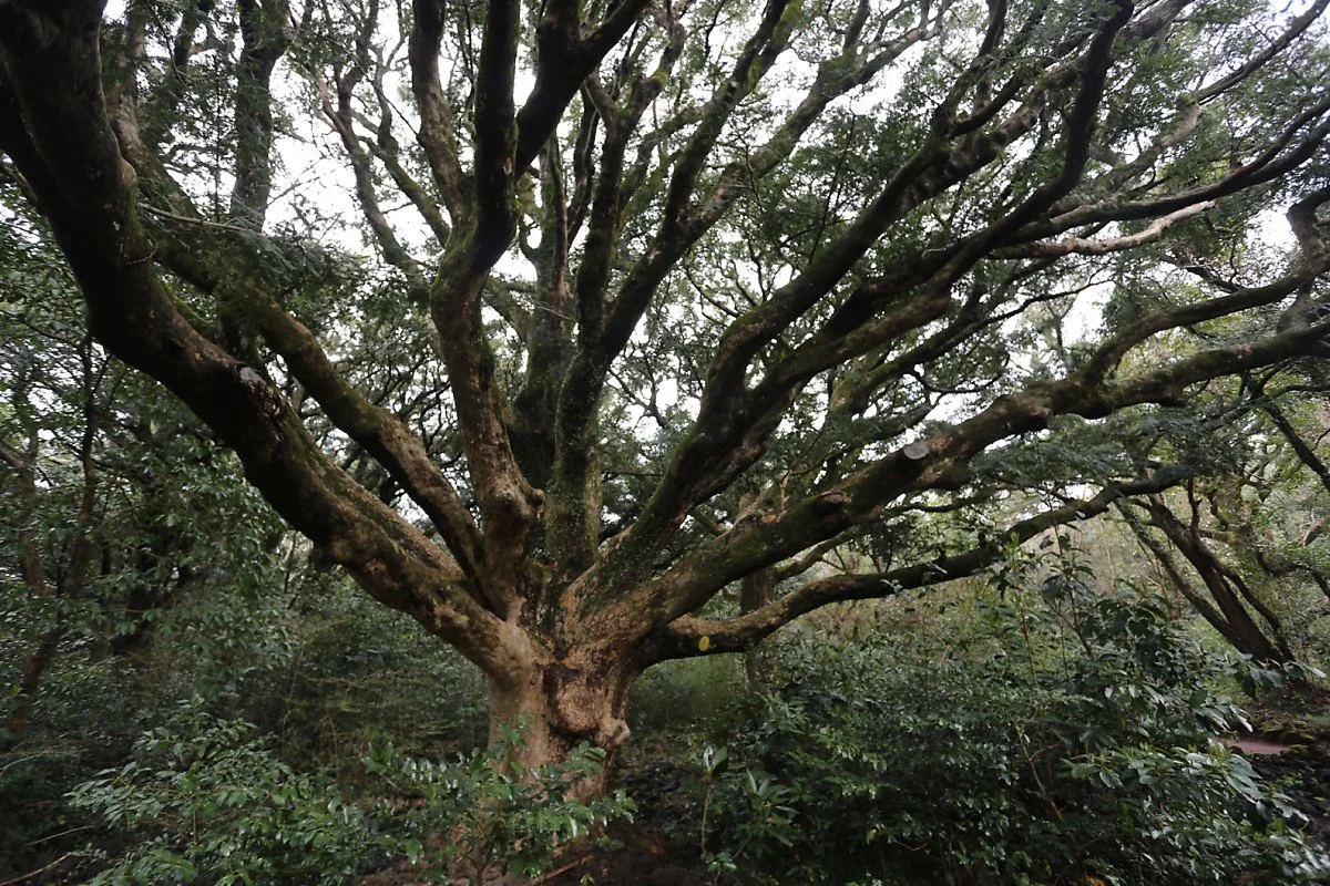 6_%EB%B9%84%EC%9E%90%EB%A6%BC_%281%29.JPG?type=w1200