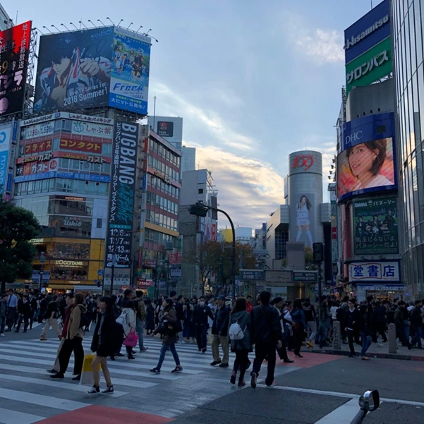 image.png?type=w1200