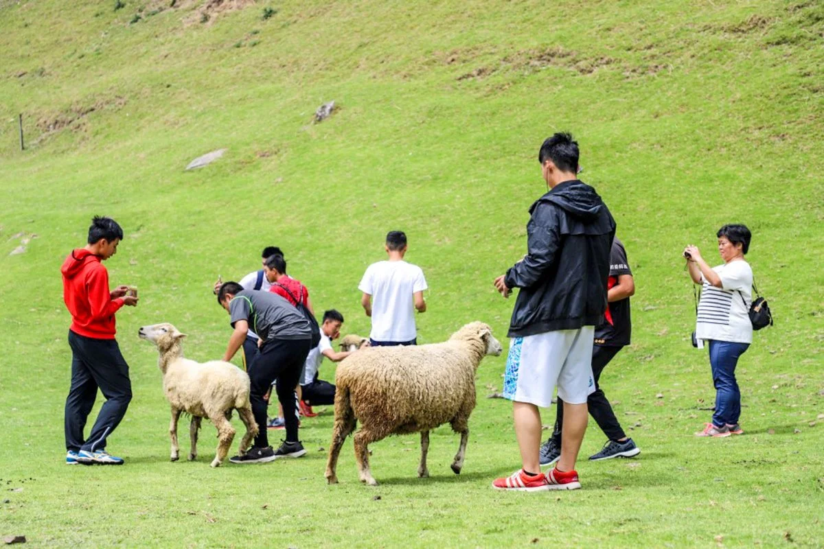 20.jpg?type=w1200&type=w1200