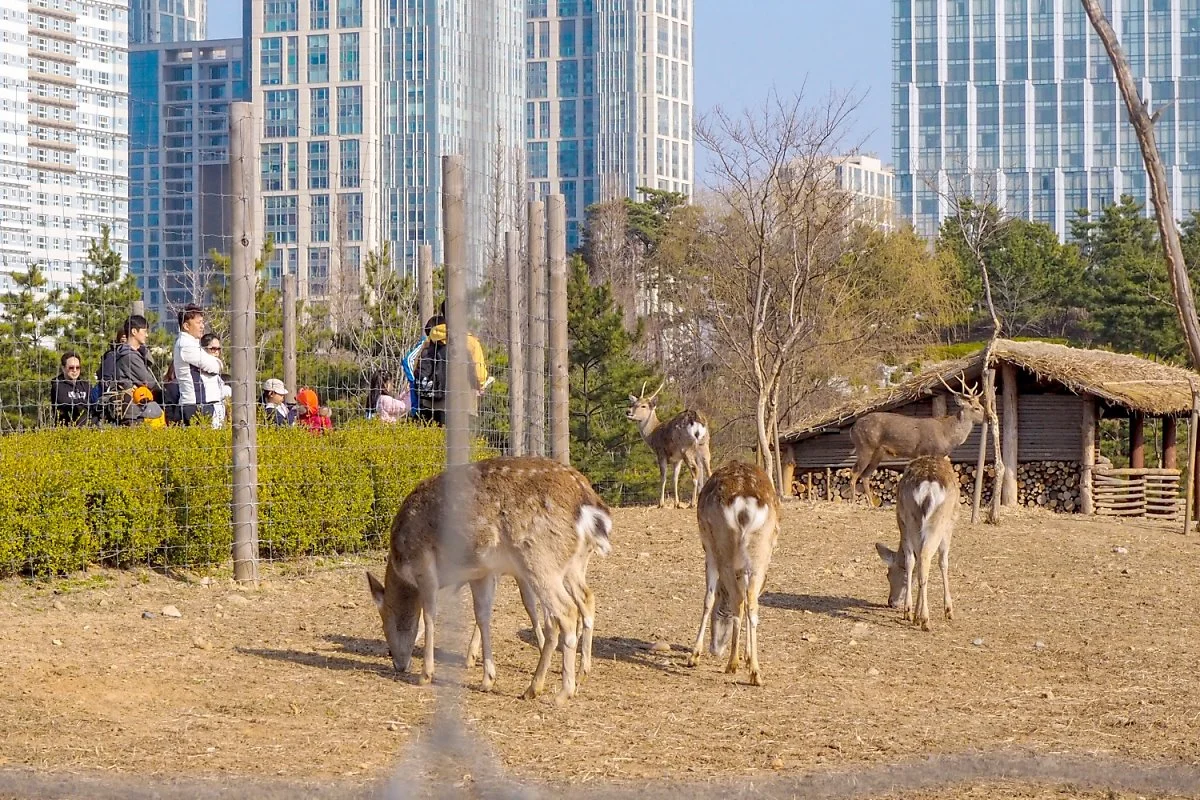 %EC%86%A1%EB%8F%84_%EC%84%BC%ED%8A%B8%EB%9F%B4%ED%8C%8C%ED%81%AC_%281%29.jpg?type=w1200