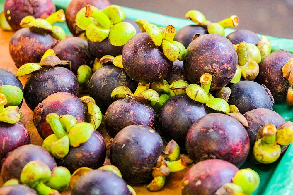 %EC%BD%94%ED%83%80%ED%82%A4%EB%82%98%EB%B0%9C%EB%A3%A8%EB%A7%9B%EC%A7%91_019_2.jpg?type=w1200