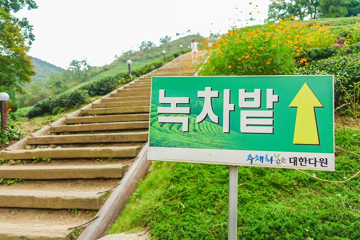 %EB%B3%B4%EC%84%B1_%281%29.jpg?type=w1200