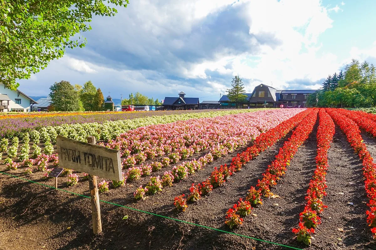 %EC%82%AC%EC%A7%841923_%EB%B9%84%EC%97%90%EC%9D%B4%ED%9B%84%EB%9D%BC%EB%85%B8_%284%29.jpg?type=w1200