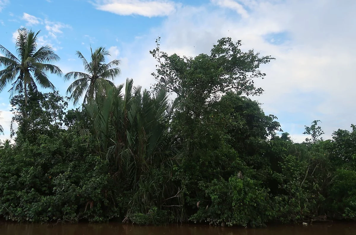 %EB%A7%90%EB%A0%88%EC%9D%B4%EC%8B%9C%EC%95%842.jpg?type=w1200