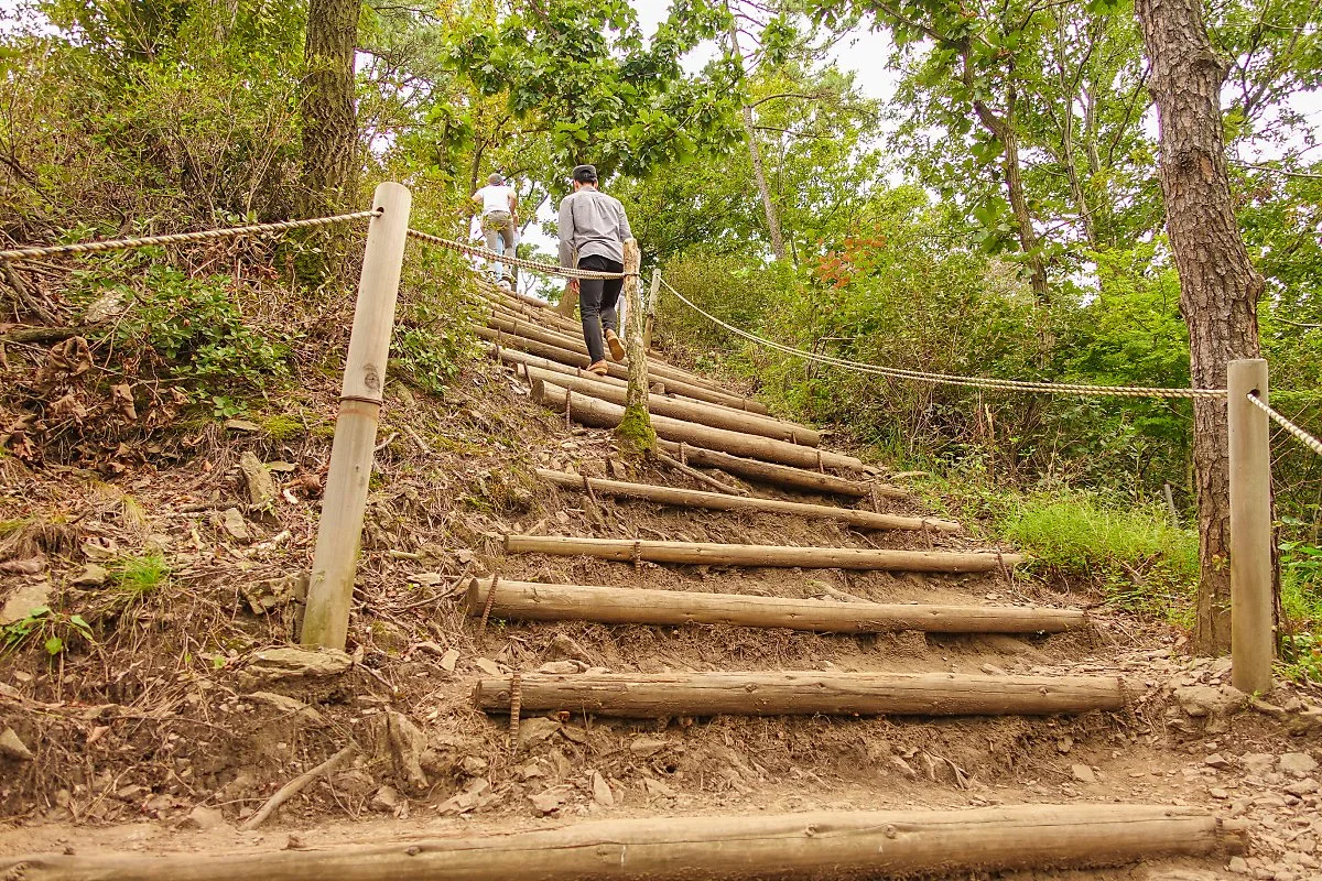 %EB%B3%B4%EC%84%B1_%283%29.jpg?type=w1200