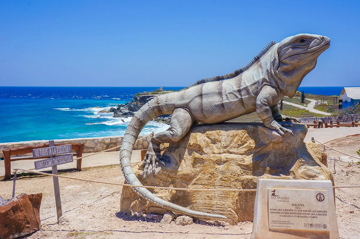 %EC%B9%B8%EC%BF%A4_%284%29.jpg?type=w1200