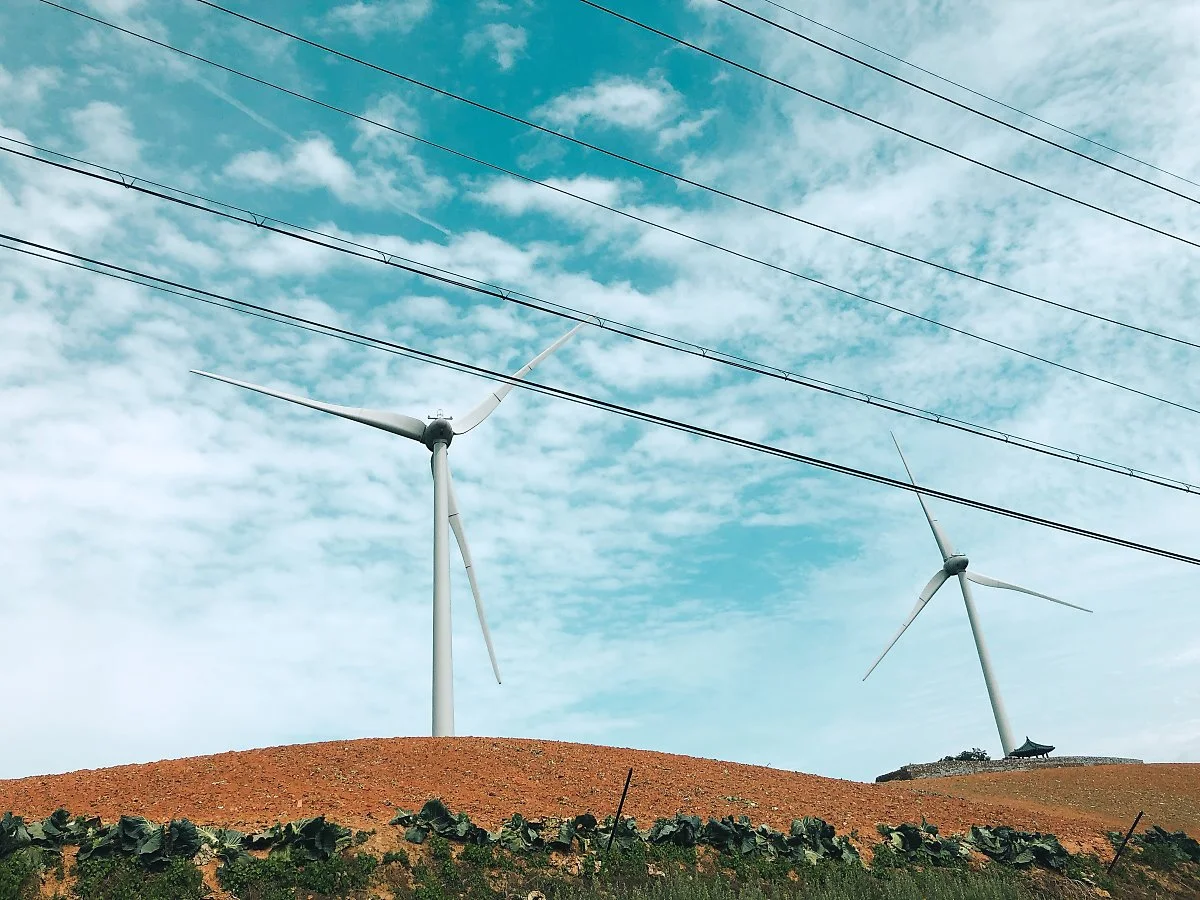 IMG_3480.JPG?type=w1200