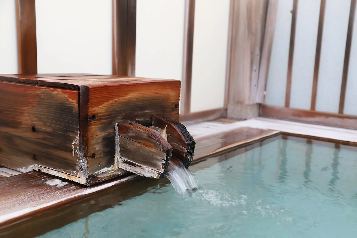 IMG_7921.JPG?type=w1200