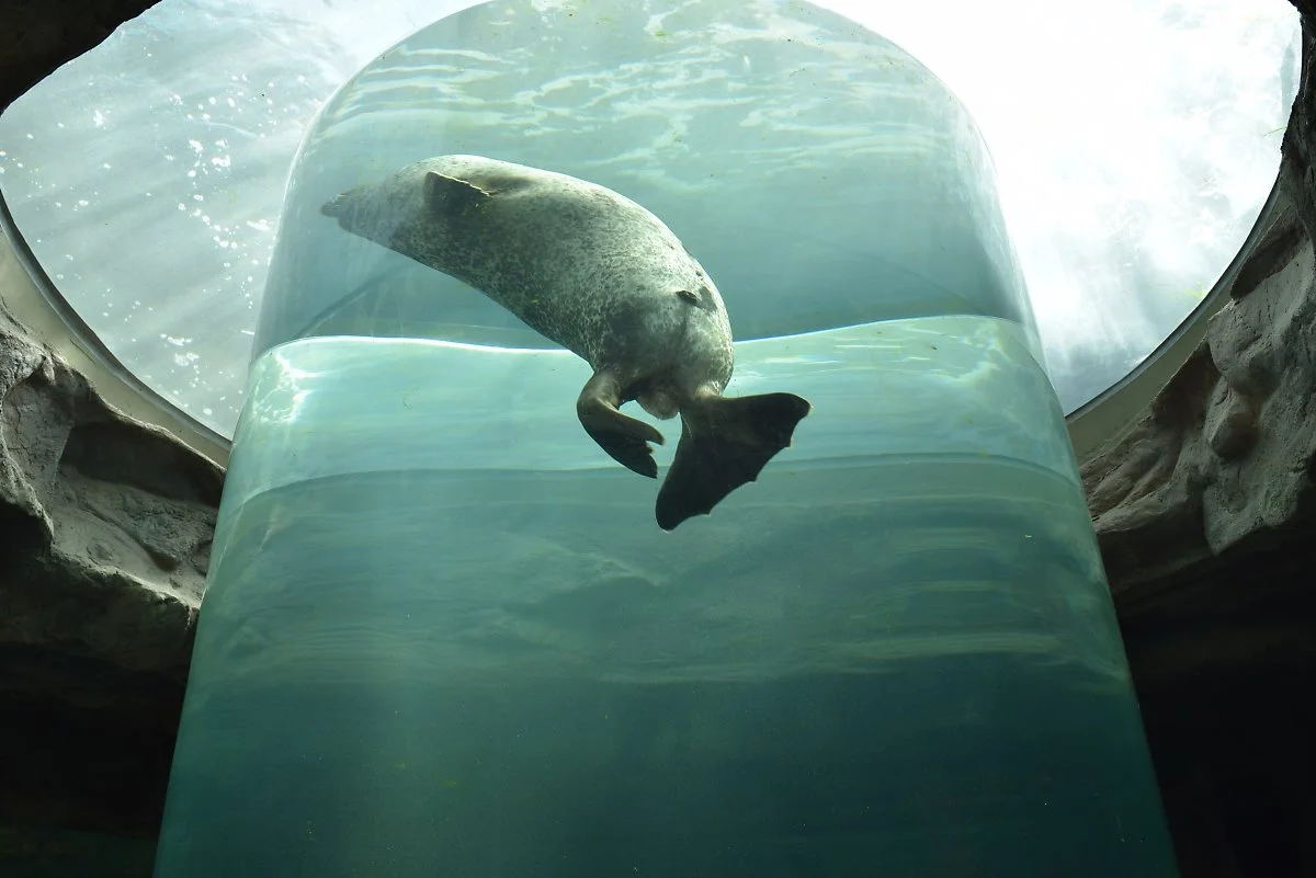 %EC%97%AC%EC%88%98%EC%97%AC%ED%96%89%EC%BD%94%EC%8A%A45.JPG?type=w1200