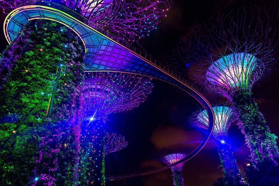 IMG_6950.jpg?type=w1200