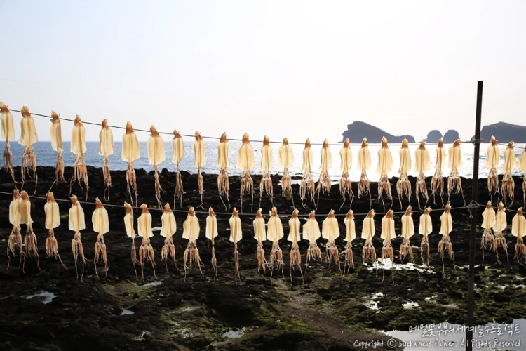 %EC%B0%A8%EA%B7%80%EB%8F%84%EC%9D%BC%EB%AA%B0_04.png?type=w1200