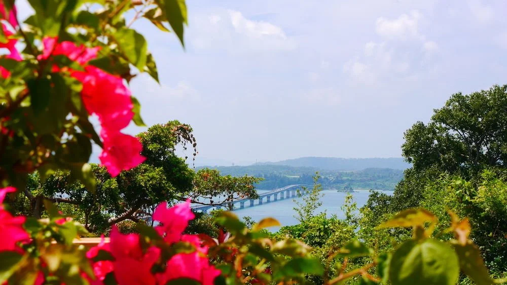 %EC%98%A4%EC%85%98_%ED%9E%90%EC%8A%A4_%EC%BD%94%EC%9A%B0%EB%A6%AC5.jpg?type=w1200