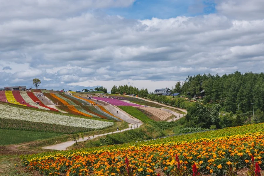 5%EC%9B%94SEO.%EC%82%BF%ED%8F%AC%EB%A1%9C%EC%97%AC%EB%A6%8419.jpg?type=w1200