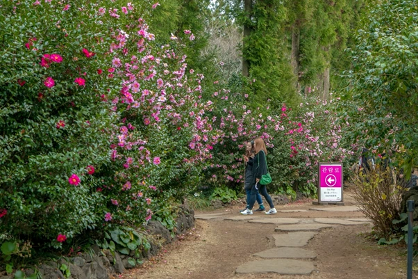 image.png?type=w1200&type=w1200