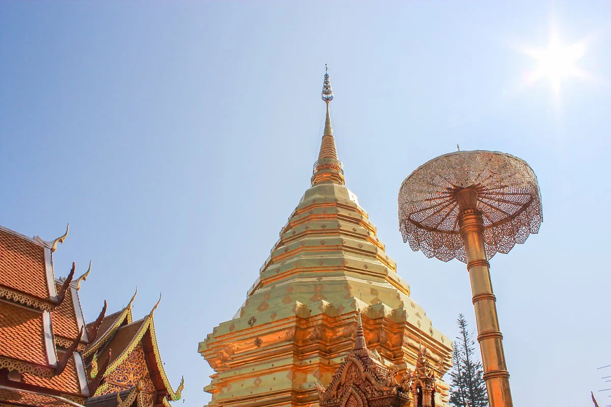 7_%EC%B9%98%EC%95%99%EB%A7%88%EC%9D%B4_%282%29.jpg?type=w1200