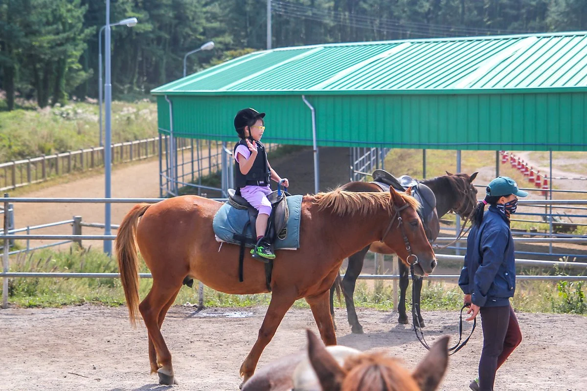 %EC%A0%9C%EC%A3%BC%EC%8A%B9%EB%A7%88%EA%B3%B5%EC%9B%90_%281%29.jpg?type=w1200