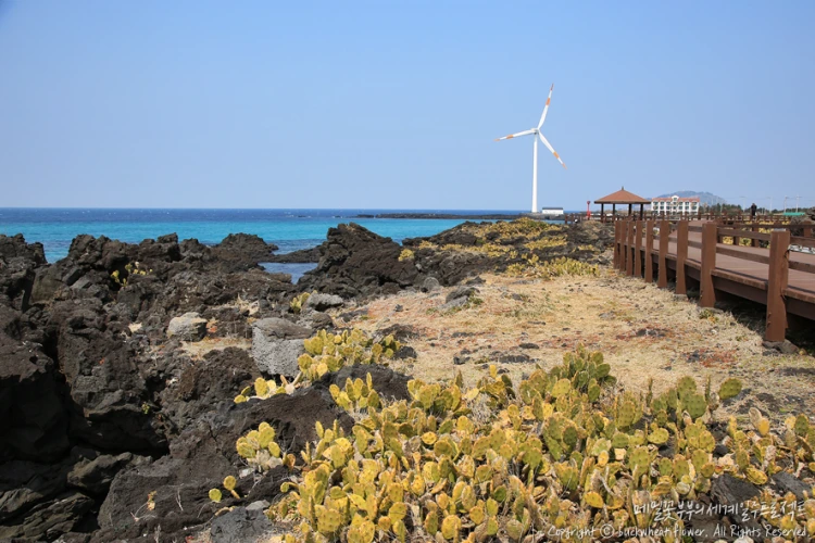 %EC%9B%94%EB%A0%B9%EB%A6%AC%EC%84%A0%EC%9D%B8%EC%9E%A5%EB%A7%88%EC%9D%84_03.png?type=w1200