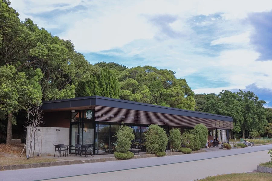 %EC%9D%B5%EC%8A%A4SEO.%ED%9B%84%EC%BF%A0%EC%98%A4%EC%B9%B403_by%ED%83%9C%EC%96%91.jpg?type=w1200