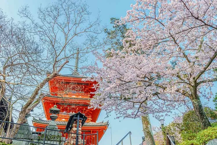 1_%EC%B2%AD%EC%88%98%EC%82%AC.jpg?type=w1200