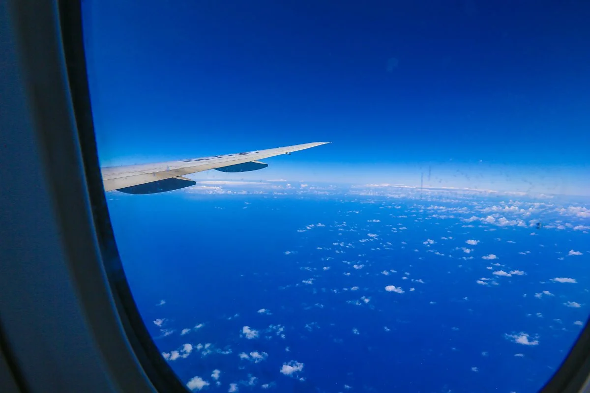 %EC%A7%84%EC%97%90%EC%96%B4_%282%29.jpg?type=w1200