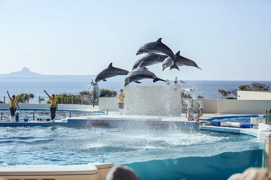 5SEO.OKI27.jpg?type=w1200