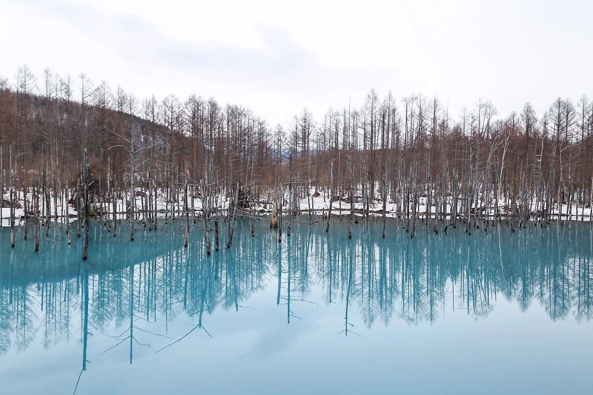 20180414-IMG_1672.jpg?type=w1200