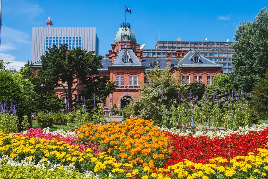 5%EC%9B%94SEO.%EC%82%BF%ED%8F%AC%EB%A1%9C%EC%97%AC%EB%A6%8401.jpg?type=w1200