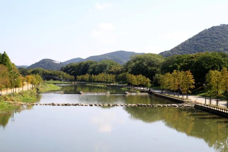 035-관방제림 (2)resize.JPG