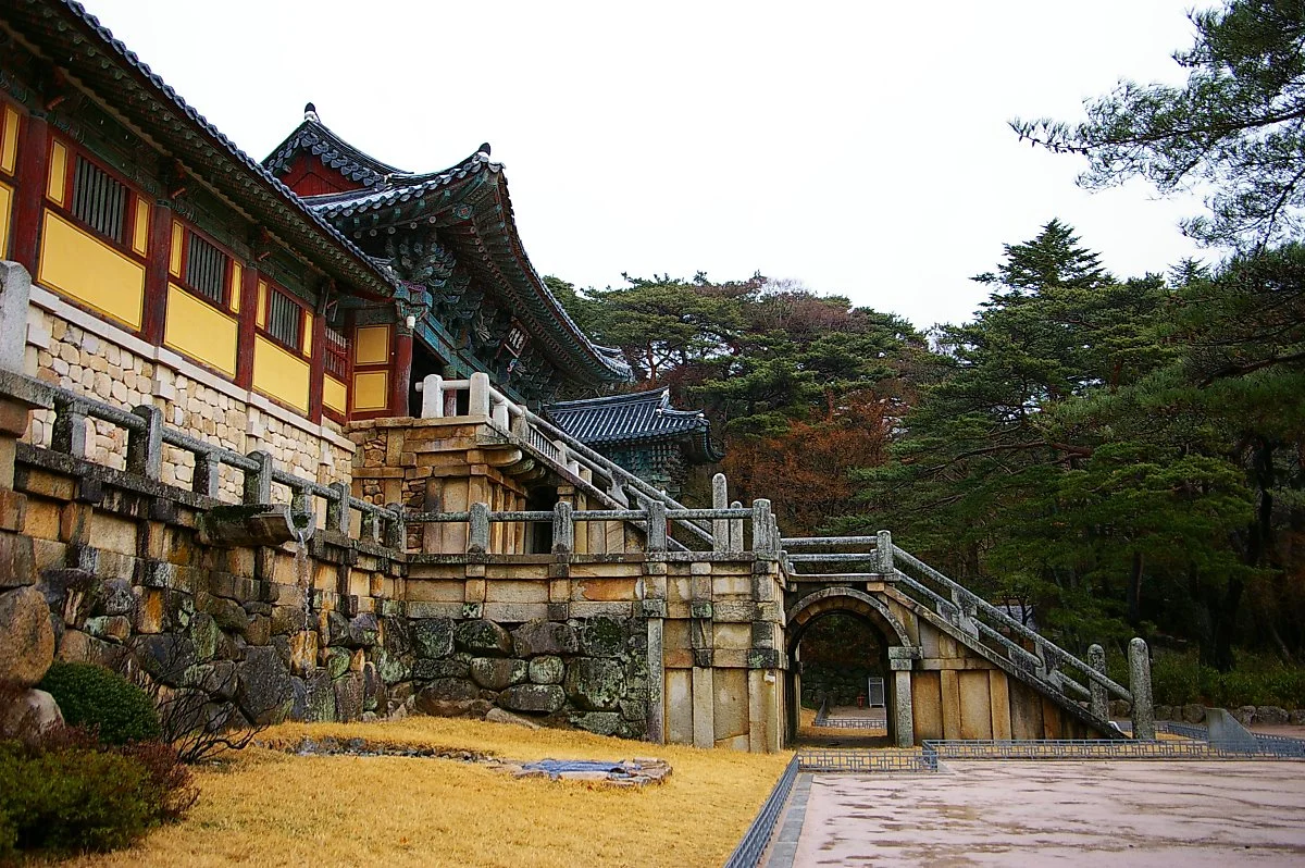 IMGP0308.JPG?type=w1200