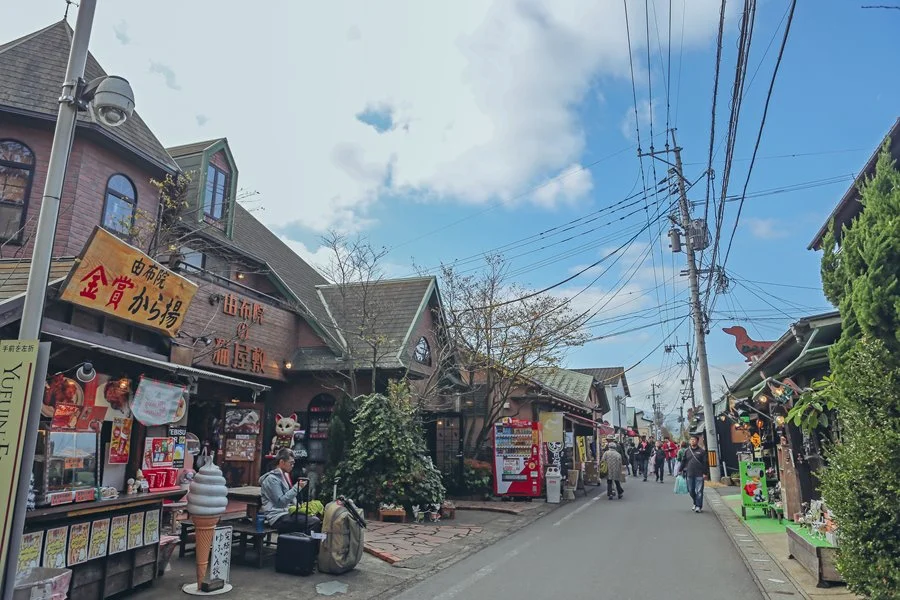 5SEO.FUK26.jpg?type=w1200