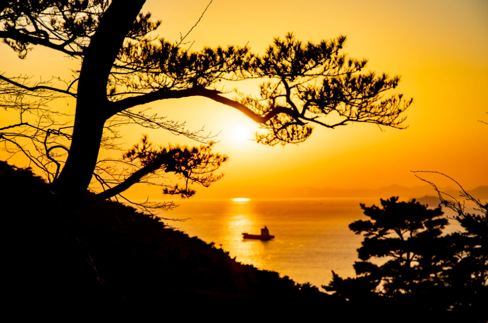 image.png?type=w1200