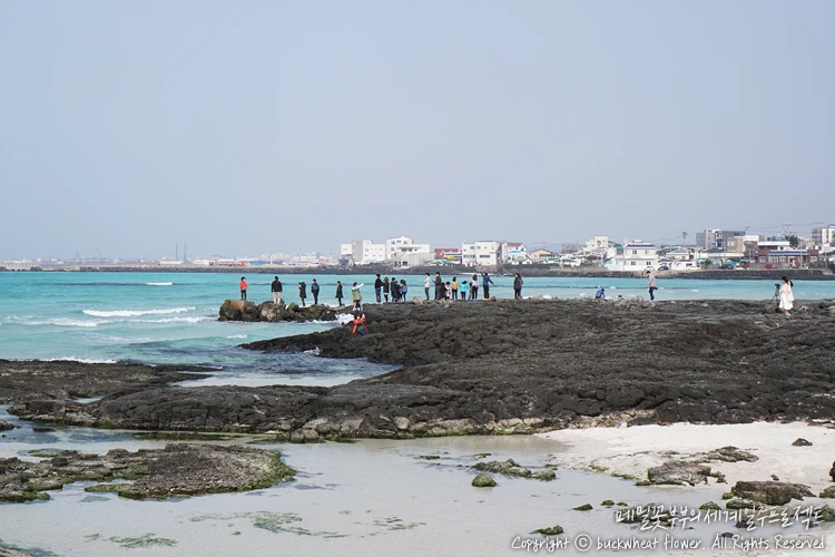 %ED%98%91%EC%9E%AC%ED%95%B4%EC%88%98%EC%9A%95%EC%9E%A5_01.png?type=w1200