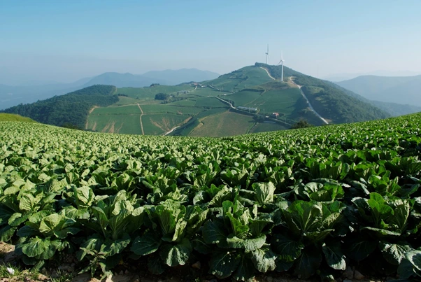 image.png?type=w1200