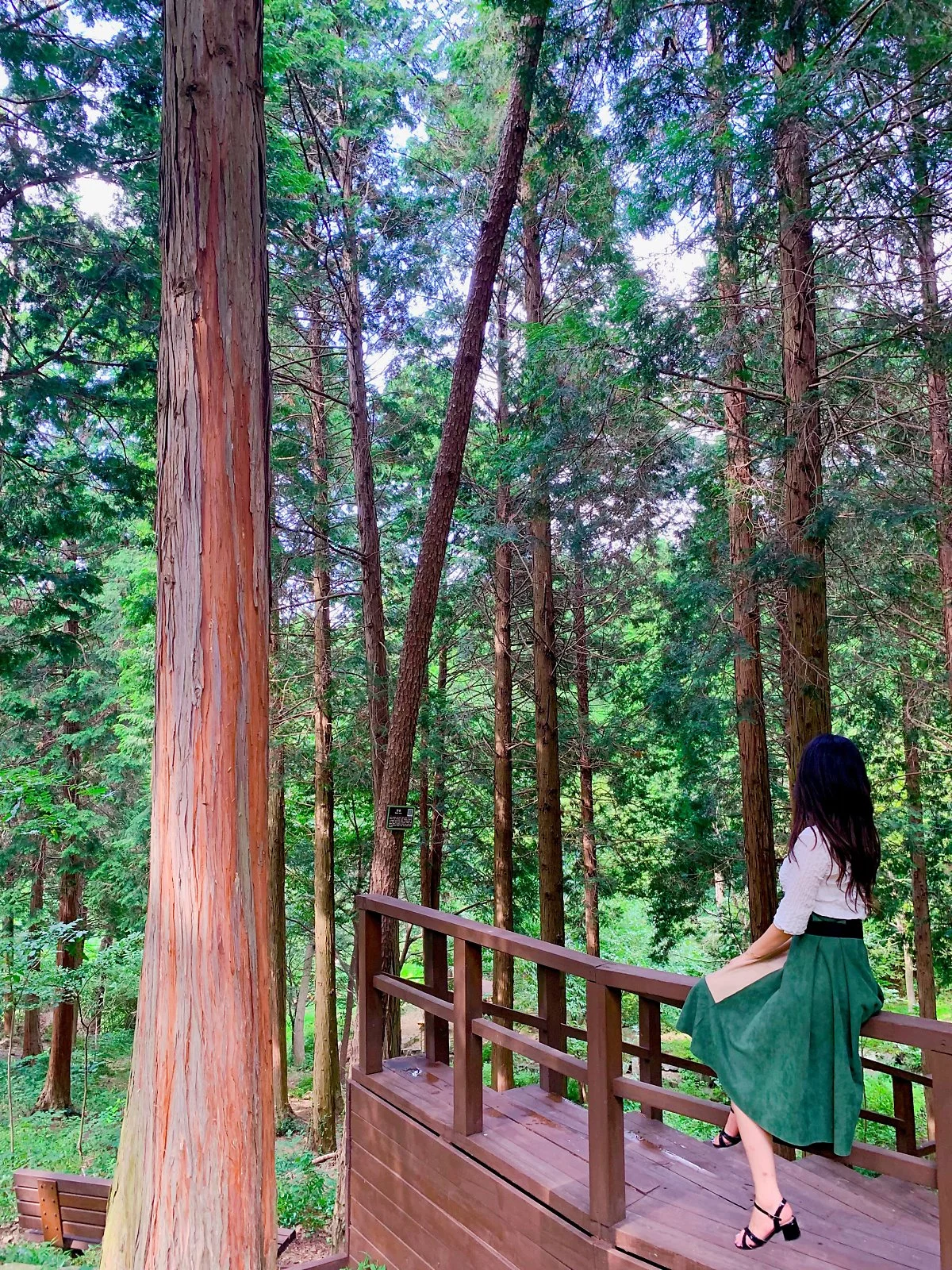 IMG_2653.JPG?type=w1200