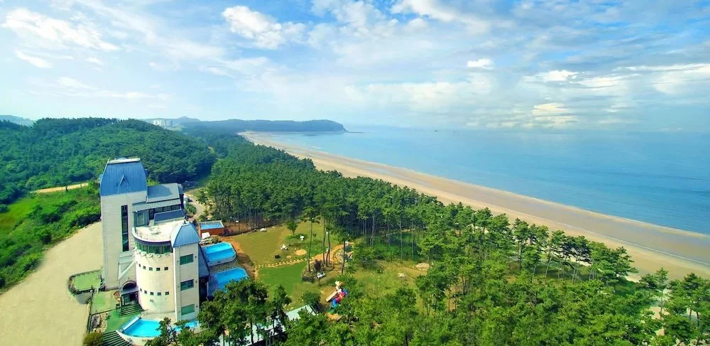 6bf69908_z.jpg?type=w1200