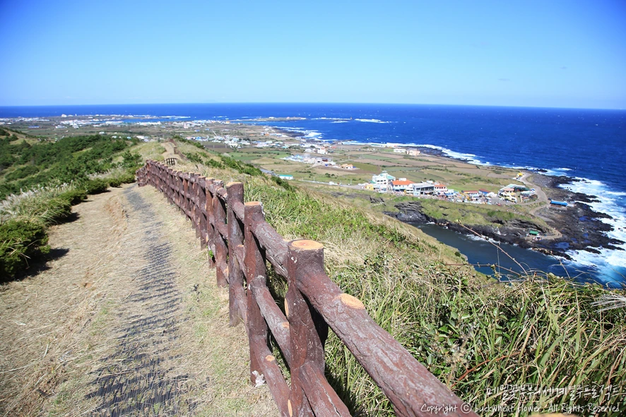 4.%EC%9A%B0%EB%8F%84%28%EC%9A%B0%EB%8F%84%EB%B4%89%29.png?type=w1200