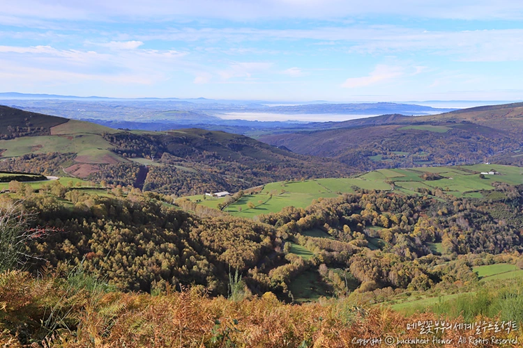 %EC%82%B0%ED%8B%B0%EC%95%84%EA%B3%A0%EC%88%9C%EB%A1%80%EA%B8%B8_%ED%92%8D%EA%B2%BD_06.png?type=w1200