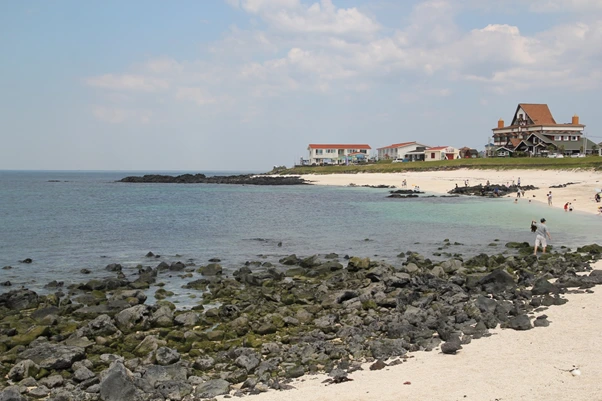 image.png?type=w1200&type=w1200